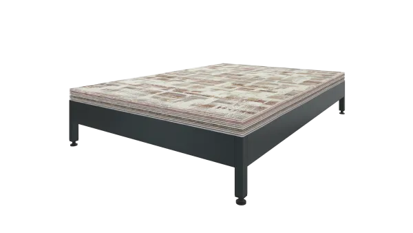 Model 02